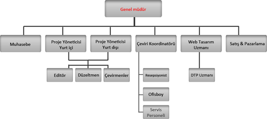 Organizasyon