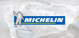 michelin logosu