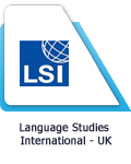 LSI Logo