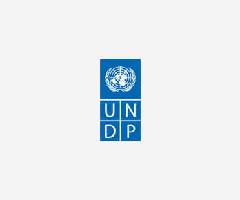 undp logosu